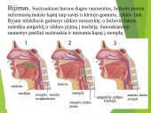 Virškinimo procesas 18 puslapis