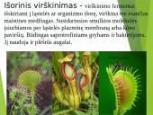 Virškinimo procesas 3 puslapis