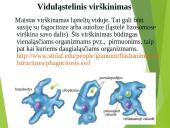 Virškinimo procesas 5 puslapis