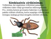 Virškinimo procesas 6 puslapis