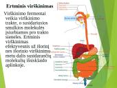 Virškinimo procesas 7 puslapis