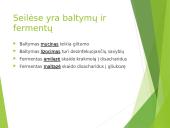 Virškinimas – fizinis ir cheminis maisto apdorojimas 11 puslapis