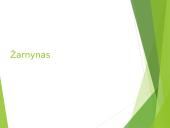 Virškinimas – fizinis ir cheminis maisto apdorojimas 14 puslapis