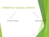 Virškinimas – fizinis ir cheminis maisto apdorojimas 4 puslapis