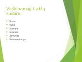 Virškinimas – fizinis ir cheminis maisto apdorojimas 5 puslapis