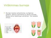 Virškinimas – fizinis ir cheminis maisto apdorojimas 7 puslapis