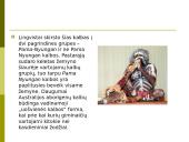 Australijos aborigenai 7 puslapis