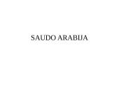 Apie Saudo Arabiją