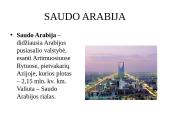 Apie Saudo Arabiją 2 puslapis