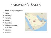 Apie Saudo Arabiją 5 puslapis