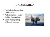 Apie Saudo Arabiją 6 puslapis