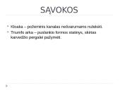 Roma – pasaulio sostinė 2 puslapis