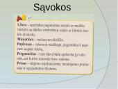 Spausdinta knyga keičia Europą 2 puslapis