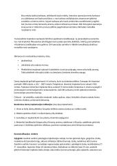 Protezavimo teorija (tęsinys) 10 puslapis