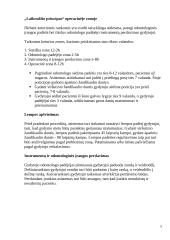 Darbo keturiomis rankomis principai 4 puslapis