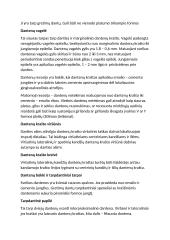 Veido estetika: veido ir kandžių centro linija, viršutinė ir apatinė lūpa 13 puslapis