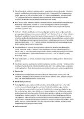 Veido estetika: veido ir kandžių centro linija, viršutinė ir apatinė lūpa 3 puslapis