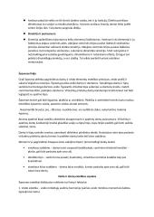 Veido estetika: veido ir kandžių centro linija, viršutinė ir apatinė lūpa 4 puslapis