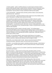 Veido estetika: veido ir kandžių centro linija, viršutinė ir apatinė lūpa 5 puslapis