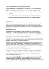 Veido estetika: veido ir kandžių centro linija, viršutinė ir apatinė lūpa 7 puslapis