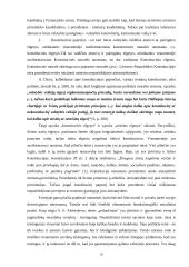 Konstitucinio papročio sąvoka 16 puslapis