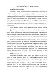 Konstitucinio papročio sąvoka 4 puslapis