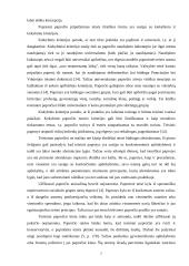 Konstitucinio papročio sąvoka 5 puslapis