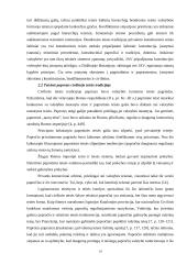 Konstitucinio papročio sąvoka 10 puslapis