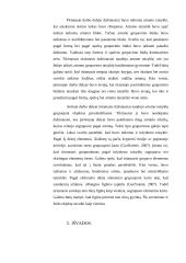 Psichologija: Geštalto grupavimo taisyklių tyrimas 12 puslapis