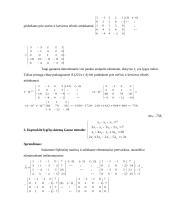 Taikomoji matematika. Individualus savarankiškas darbas 3 puslapis