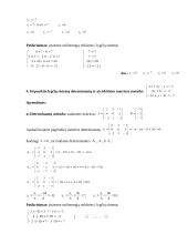 Taikomoji matematika. Individualus savarankiškas darbas 4 puslapis