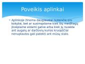 Aplinkos teršimas automobilių išmetamosiomis dujomis, poveikis sveikatai, aplinkos apsaugai 6 puslapis