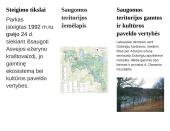 Asvejos lankstinukas 2 puslapis