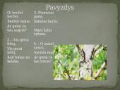 Dainuojamoji tautosaka ir jos žanrai 15 puslapis