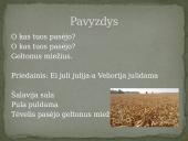 Dainuojamoji tautosaka ir jos žanrai 10 puslapis