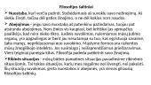 Filosofinė etika skaidrės 4 puslapis