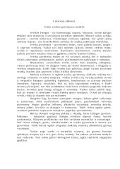 Vaiko sveikos gyvensenos modelis