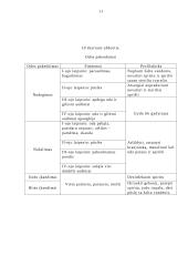 Vaiko sveikos gyvensenos modelis 11 puslapis