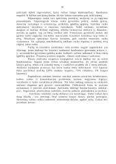 Vaiko sveikos gyvensenos modelis 16 puslapis