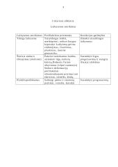 Vaiko sveikos gyvensenos modelis 3 puslapis