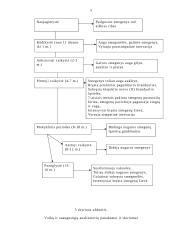 Vaiko sveikos gyvensenos modelis 5 puslapis