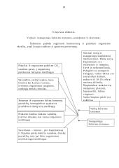 Vaiko sveikos gyvensenos modelis 10 puslapis