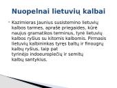Kazimieras Jaunius 10 puslapis