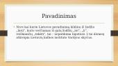 Lietuvos Didžioji Kunigaikštystė - feodalinė valstybė 8 puslapis