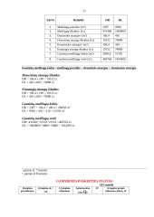 Trumpi verslo ekonomikos uždaviniai 12 puslapis