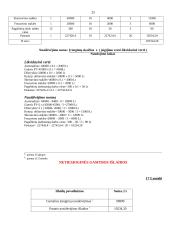 Trumpi verslo ekonomikos uždaviniai 20 puslapis