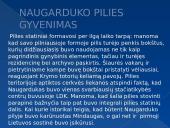 Naugarduko pilis 3 puslapis