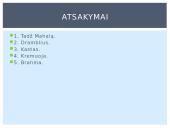 Paslaptingoji Indija 13 puslapis