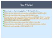 Paslaptingoji Indija 14 puslapis