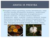 Paslaptingoji Indija 7 puslapis